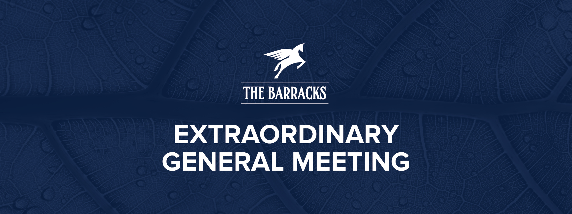 Extraordinary General Meeting